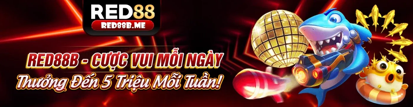 Hình ảnh chính Blog 8 day