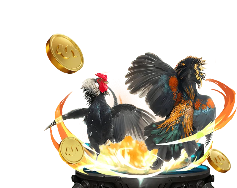 Giao diện xem đá gà trực tiếp