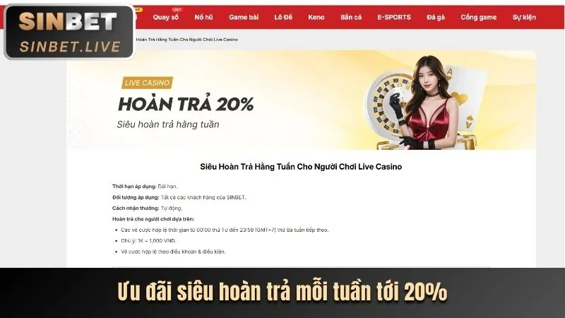 Chương trình VIP 8 day